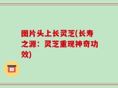 图片头上长灵芝(长寿之源：灵芝重现神奇功效)