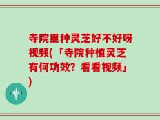 寺院里种灵芝好不好呀视频(「寺院种植灵芝有何功效？看看视频」)