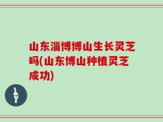 山东淄博博山生长灵芝吗(山东博山种植灵芝成功)