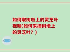 如何取树墩上的灵芝叶视频(如何采摘树墩上的灵芝叶？)