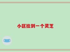小区捡到一个灵芝