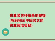 农业灵芝种植基地视频(视频揭示中国灵芝的农业栽培奥秘)