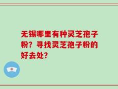 无锡哪里有种灵芝孢子粉？寻找灵芝孢子粉的好去处？