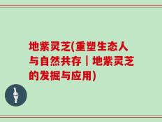 地紫灵芝(重塑生态人与自然共存｜地紫灵芝的发掘与应用)