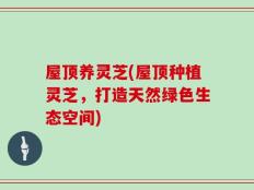 屋顶养灵芝(屋顶种植灵芝，打造天然绿色生态空间)