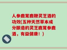 人参鹿茸鹿鞭灵芝酒的功效(五种天然草本成分酿造的灵芝鹿茸参鹿酒，有益健康！)