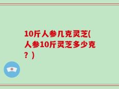 10斤人参几克灵芝(人参10斤灵芝多少克？)