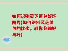 如何识别灵芝菌包好坏图片(如何辨别灵芝菌包的优劣，教你分辨好与坏)
