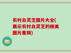 农村白灵芝图片大全(展示农村白灵芝的精美图片集锦)