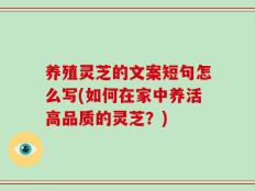 养殖灵芝的文案短句怎么写(如何在家中养活高品质的灵芝？)