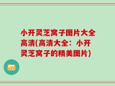 小开灵芝窝子图片大全高清(高清大全：小开灵芝窝子的精美图片)