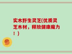 实木野生灵芝(优质灵芝木材，释放健康魔力！)