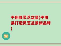 平阴县灵芝盆景(平阴县打造灵芝盆景新品牌)