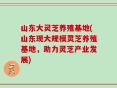 山东大灵芝养殖基地(山东现大规模灵芝养殖基地，助力灵芝产业发展)
