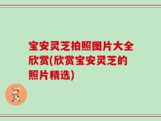 宝安灵芝拍照图片大全欣赏(欣赏宝安灵芝的照片精选)