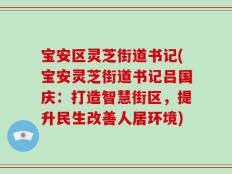 宝安区灵芝街道书记(宝安灵芝街道书记吕国庆：打造智慧街区，提升民生改善人居环境)