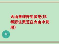 大山里纯野生灵芝(珍稀野生灵芝在大山中发现)