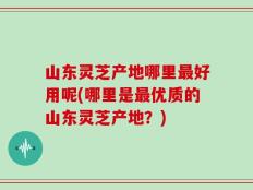 山东灵芝产地哪里最好用呢(哪里是最优质的山东灵芝产地？)