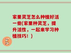 家里灵芝怎么种植好活一些(家里种灵芝，提升活性，一起来学习种植技巧！)