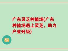 广东灵芝种植场(广东种植场遇上灵芝，助力产业升级)