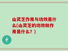 山灵芝作用与功效是什么(山灵芝的功效和作用是什么？)