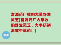 富源药厂收购大量野生灵芝(富源药厂大举收购野生灵芝，力争研制高效中草药！)