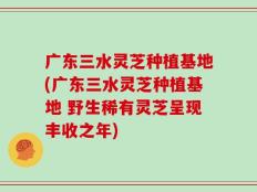 广东三水灵芝种植基地(广东三水灵芝种植基地 野生稀有灵芝呈现丰收之年)
