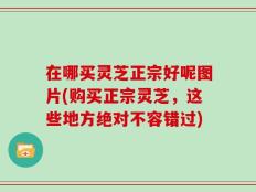 在哪买灵芝正宗好呢图片(购买正宗灵芝，这些地方绝对不容错过)