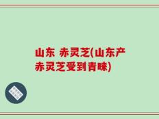 山东 赤灵芝(山东产赤灵芝受到青睐)
