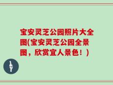 宝安灵芝公园照片大全图(宝安灵芝公园全景图，欣赏宜人景色！)