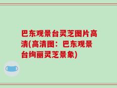 巴东观景台灵芝图片高清(高清图：巴东观景台绚丽灵芝景象)