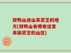 双鸭山进山采灵芝的地方(双鸭山有哪些适宜采摘灵芝的山区)