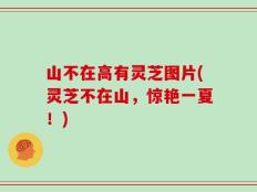山不在高有灵芝图片(灵芝不在山，惊艳一夏！)