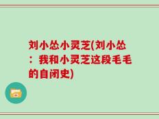 刘小怂小灵芝(刘小怂：我和小灵芝这段毛毛的自闭史)