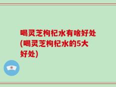 喝灵芝枸杞水有啥好处(喝灵芝枸杞水的5大好处)