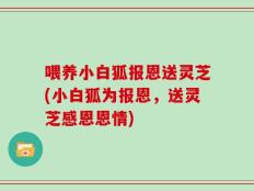 喂养小白狐报恩送灵芝(小白狐为报恩，送灵芝感恩恩情)