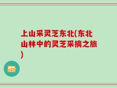 上山采灵芝东北(东北山林中的灵芝采摘之旅)