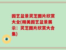 园艺盆景灵芝图片欣赏大全(精美园艺盆景展示：灵芝图片欣赏大合集)