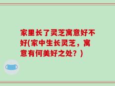 家里长了灵芝寓意好不好(家中生长灵芝，寓意有何美好之处？)