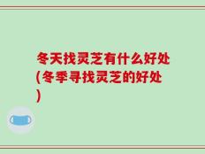 冬天找灵芝有什么好处(冬季寻找灵芝的好处)
