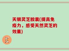 天银灵芝胶囊(提高免疫力，感受天然灵芝的效果)
