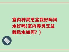 室内种灵芝盆栽好吗风水好吗(室内养灵芝盆栽风水如何？)