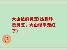 大山捡的灵芝(捡到珍贵灵芝，大山似乎走红了)