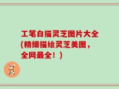 工笔白描灵芝图片大全(精细描绘灵芝美图，全网最全！)