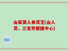山茱萸人参灵芝(山人灵，三宝齐聚图中心)