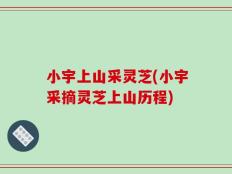 小宇上山采灵芝(小宇采摘灵芝上山历程)