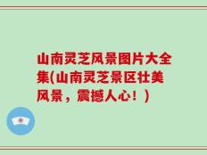 山南灵芝风景图片大全集(山南灵芝景区壮美风景，震撼人心！)
