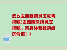 怎么去西藏摘灵芝吃呢视频(去西藏采摘灵芝视频，亲身体验藏药经济价值！)