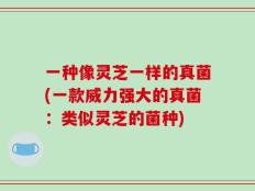 一种像灵芝一样的真菌(一款威力强大的真菌：类似灵芝的菌种)