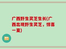 广西野生灵芝生长(广西出现野生灵芝，惊喜一夏)